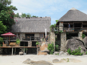 makuzi